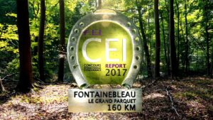 CEI Report 2017