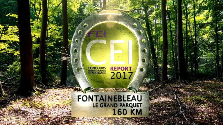 cei report 2017