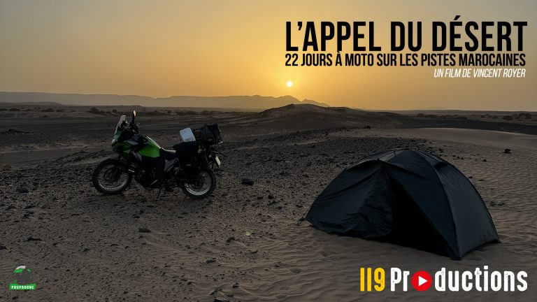 Vignette de l'Affiche du film L'appel du désert